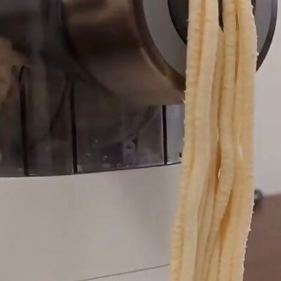 Udon  Bigoli shaping disk for Philips Pasta Maker