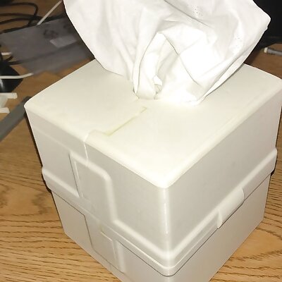 plastic Kleenex case