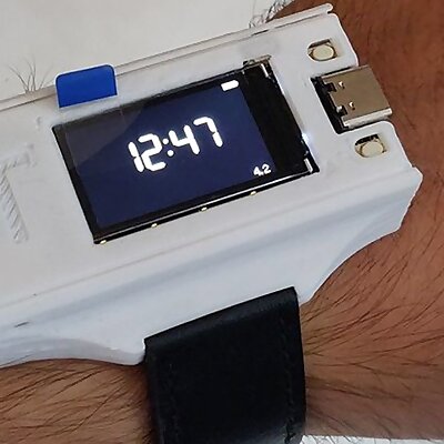 TDisplay Smartwatch Case