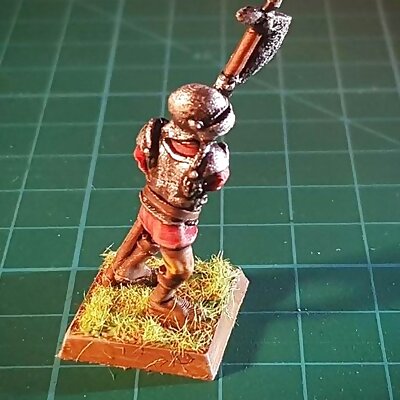 Halberdier 28mm NO SUPPORTS