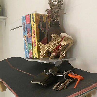 Universal Skateboard Shelf Mount  Turn any Skateboard into shelf!