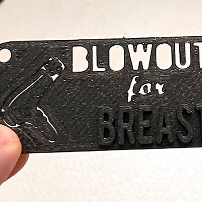Blowouts for Breasts  Breast Cancer Awareness Keychain