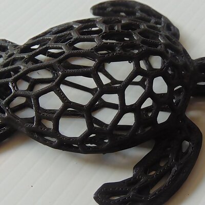 Voronoi Turtle Medium pattern