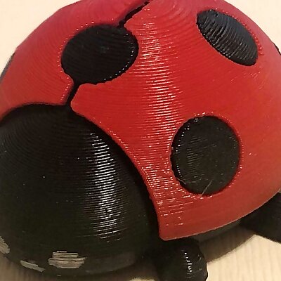 Ladybug beruška