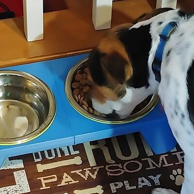 Dog Bowl Feeding Station Platform