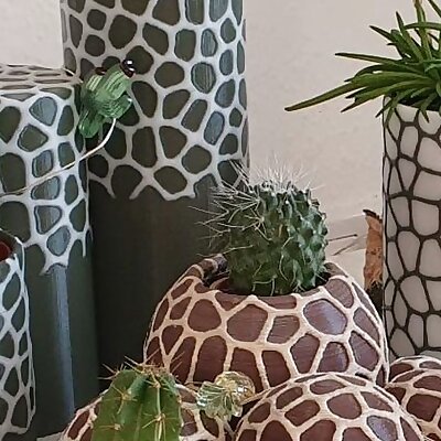 Another Voronoi Suculent Planter