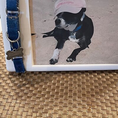 Pet Collar Display Picture Frame