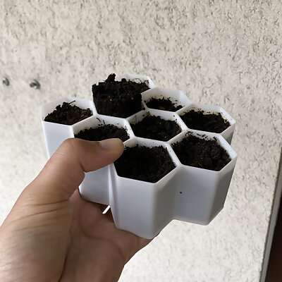 Starter Plant Grower