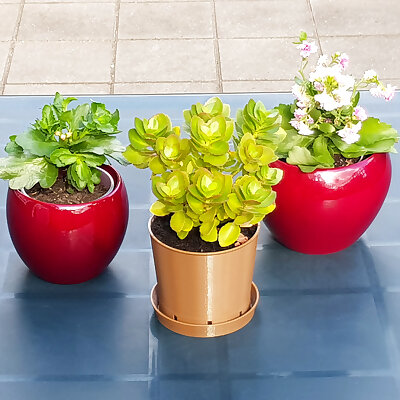 Classic Brown Plant Pot  Water Dish