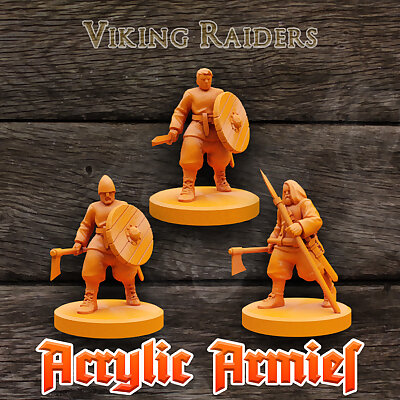 Viking Raiders x3