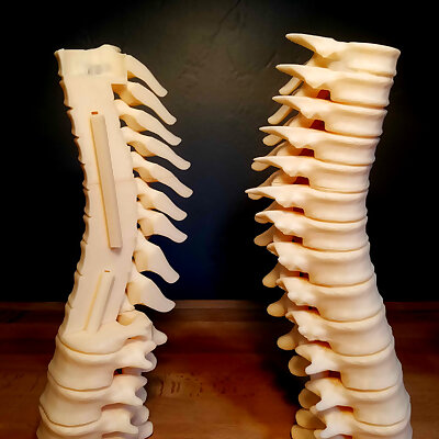 Modular Spine Candle Holder