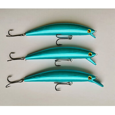 Wobbler 2 Fishing Lure 100mm 3 different lips