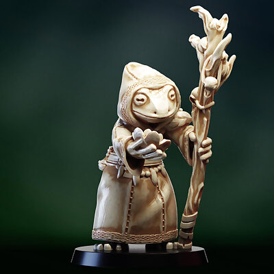 Druid shaman Frogfolk