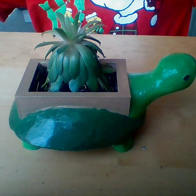 turtle pot