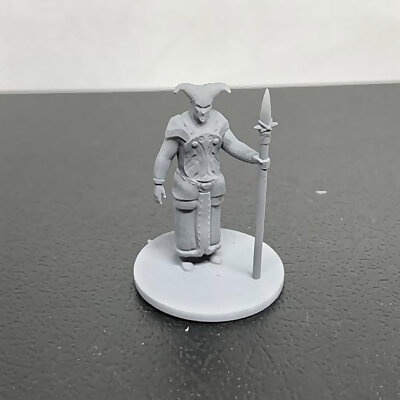 Cult of the Abyss  Cult Guard Pose 1 for tabletop rpg war games like dnd