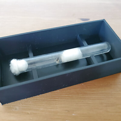 Ant Test Tube Dark Box