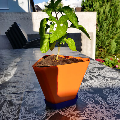 Triangle Flower Pot with Saucer