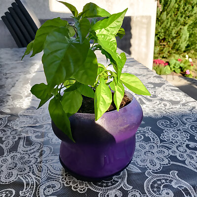 Flower Pot with Saucer