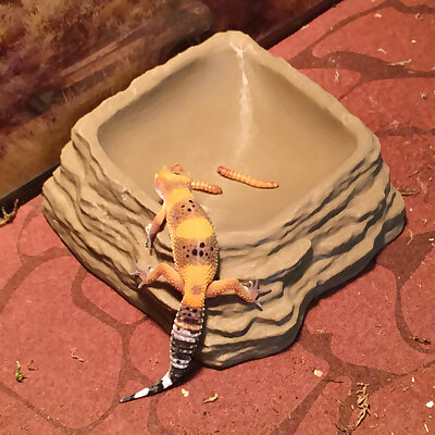 Reptile Bowl
