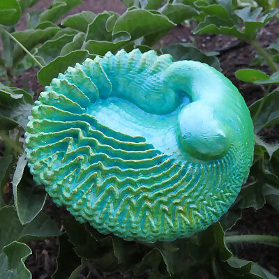 Feather Shell  3D fractal artifact