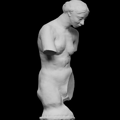 Torso of the Naked Muse
