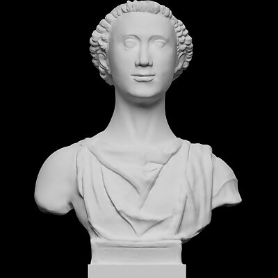 Bust of Carlo Zeno