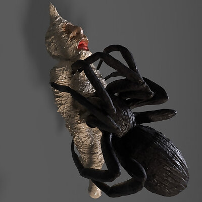 Dwarf Spider Victim with Spider