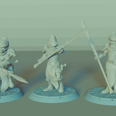 Elven Spearmen Set 3 Miniatures DungeonsDragons !FREE! !SUPPORTS!