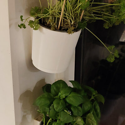 Wall mounted flower pot