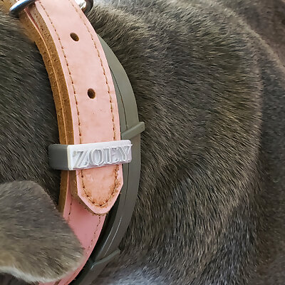 dog collar loop