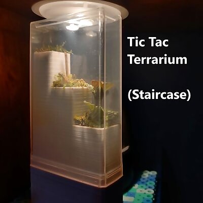 Tic Tac Nano Terrarium