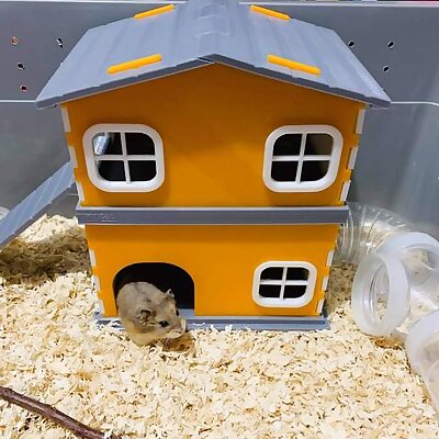 Hamster  Hedgehog pet house