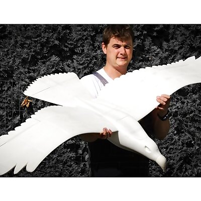 RC 3D printable EAGLE RC electric motor glider