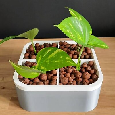 Hydroponic pot for cuttings