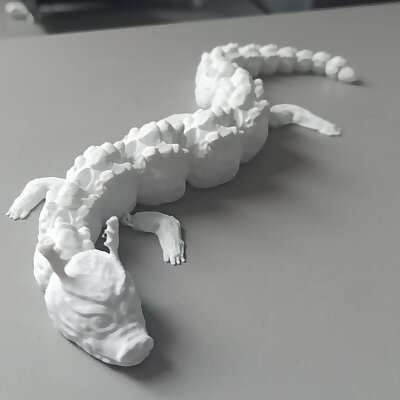 Articulated dragon  2 versions