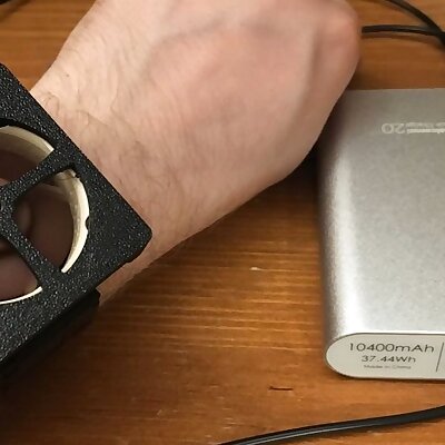 Personal Peltier Cooler for 22 mm Watch Strap