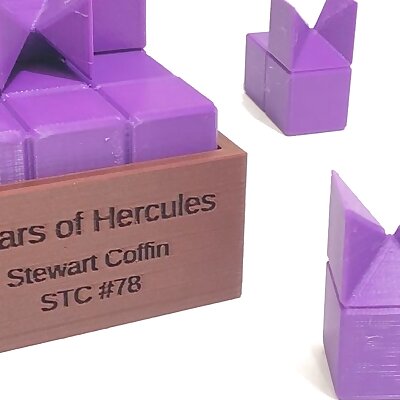 Pillars of Hercules  Assembly puzzle by Stewart Coffin STC 78