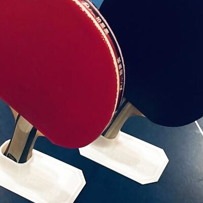 Ping Pong Paddle Perch