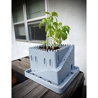 Castle Seedling Pot