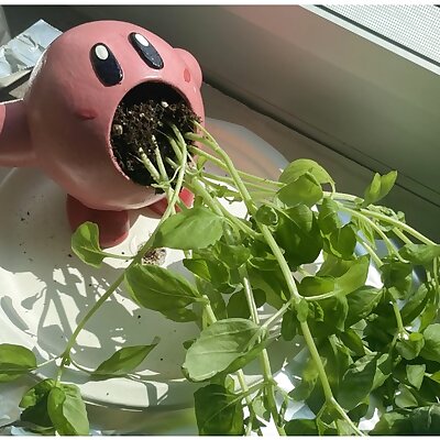 Kirby Planter