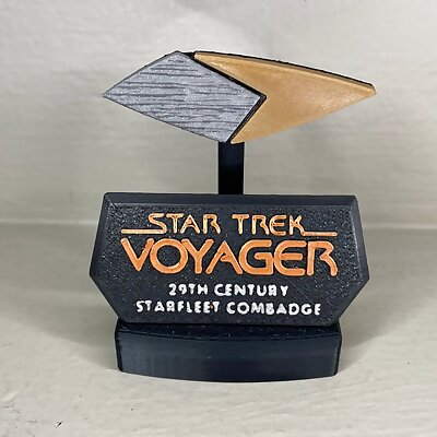 Star Trek Voyager 29th Century Combadge