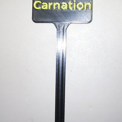 Plant Label Carnation