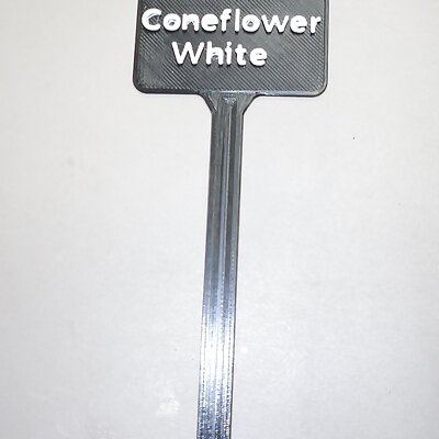 Plant Label White Coneflower