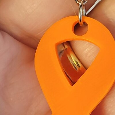 MS Support Keychain