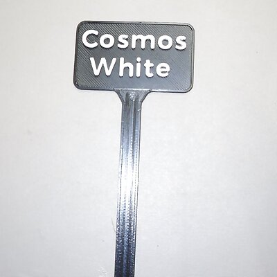 Plant Label White Cosmos