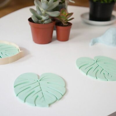 Leaf  Coasters