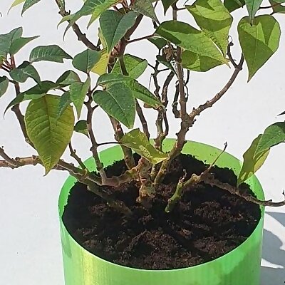 Simple self watering planter v1