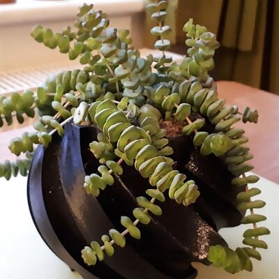 Twisted Plant Pot