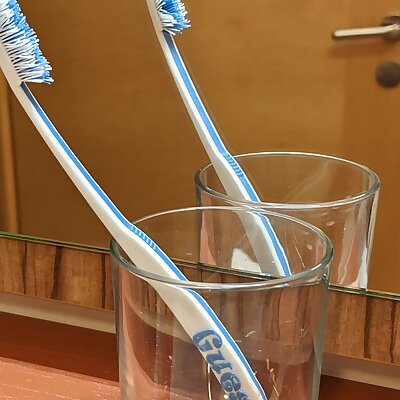Guests Toothbrush