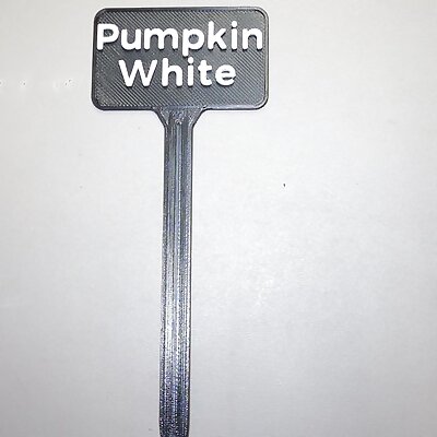 Plant Label White Pumpkin